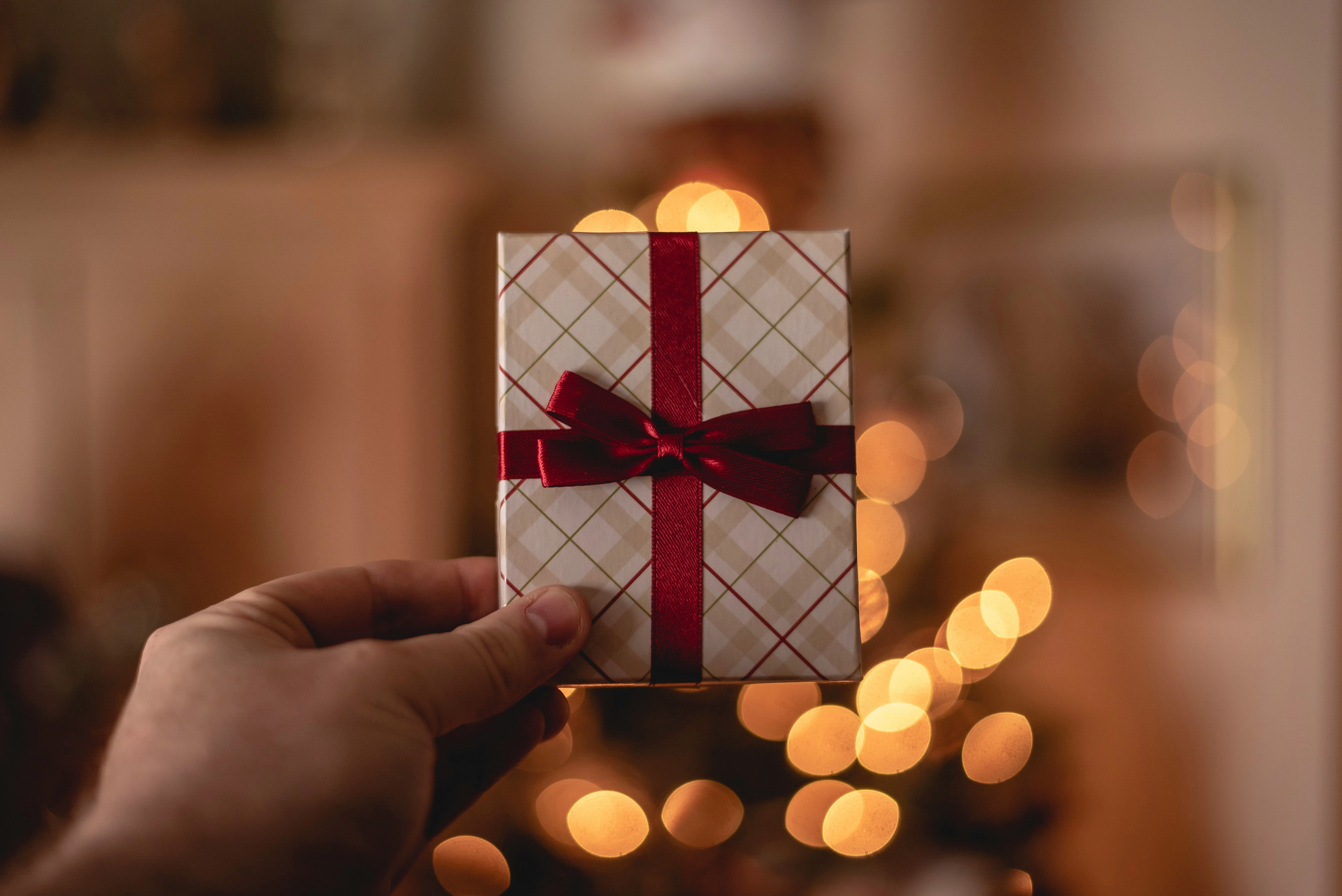 Why a Discovery Flight Makes the Perfect Holiday Gift